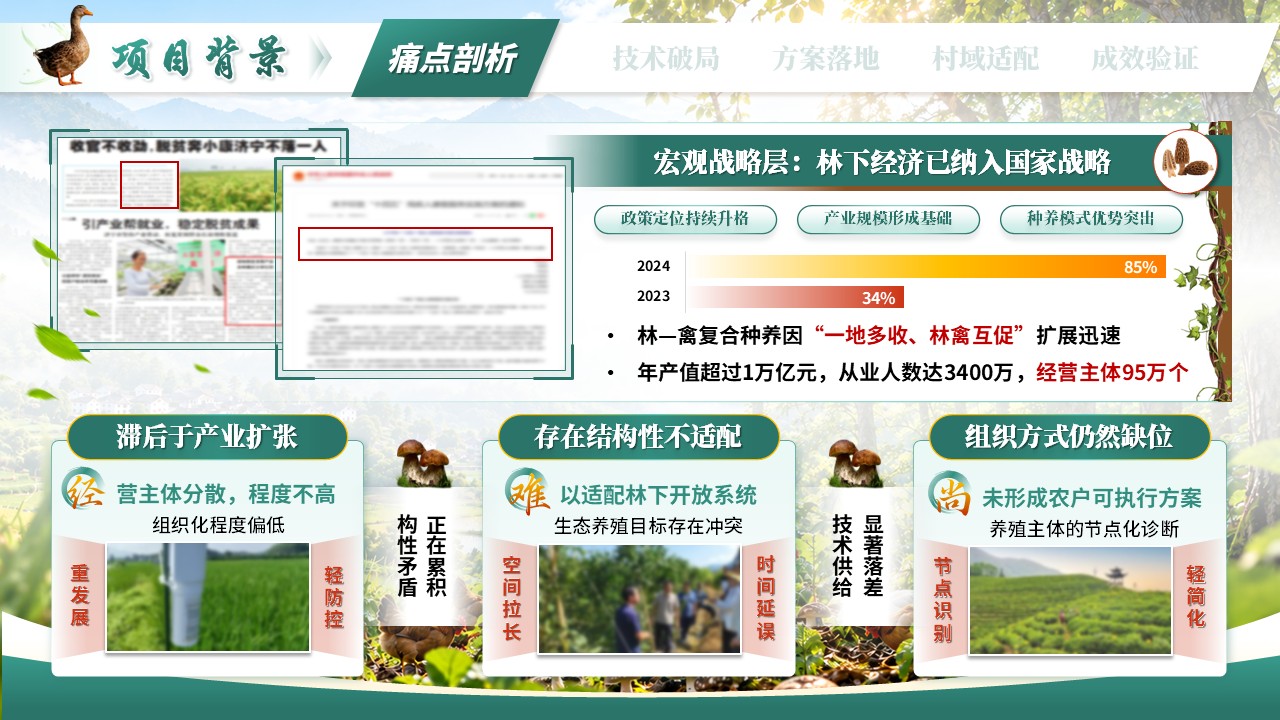《赋能乡村振兴》第六届全国大学生乡村振兴大赛第3页预览图