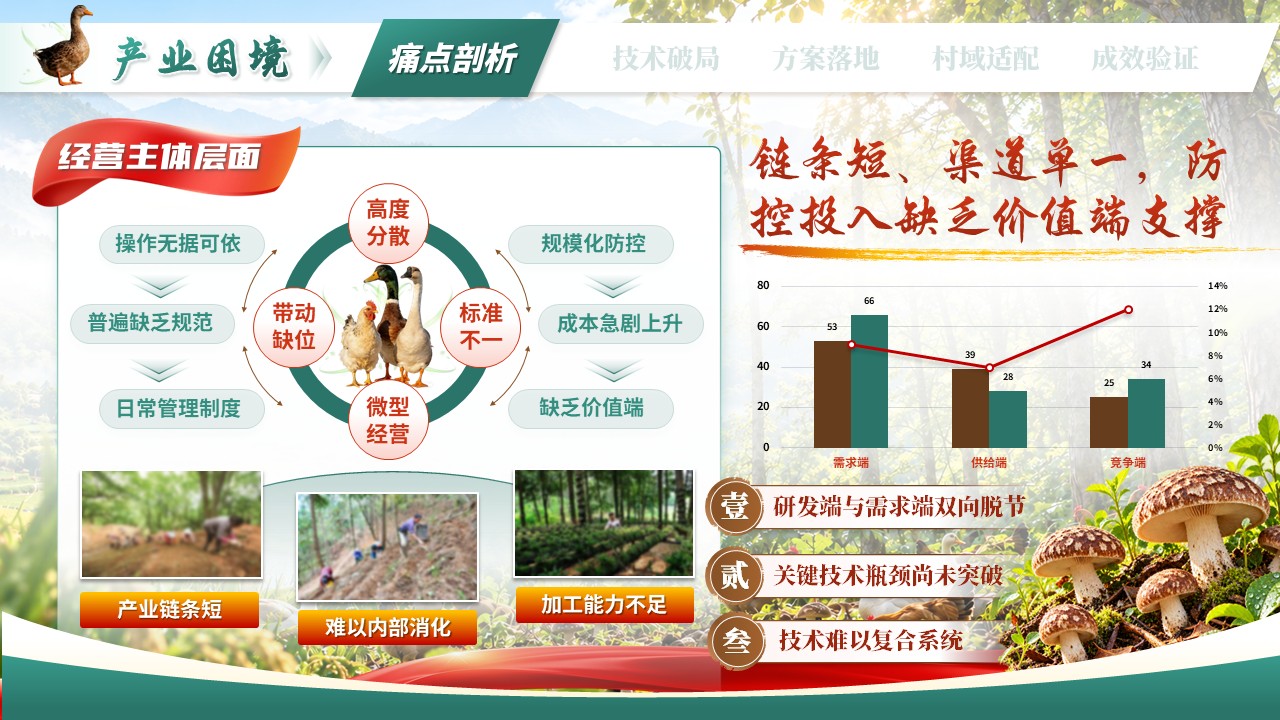 《赋能乡村振兴》第六届全国大学生乡村振兴大赛第4页预览图