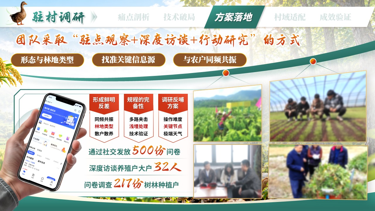 《赋能乡村振兴》第六届全国大学生乡村振兴大赛第7页预览图