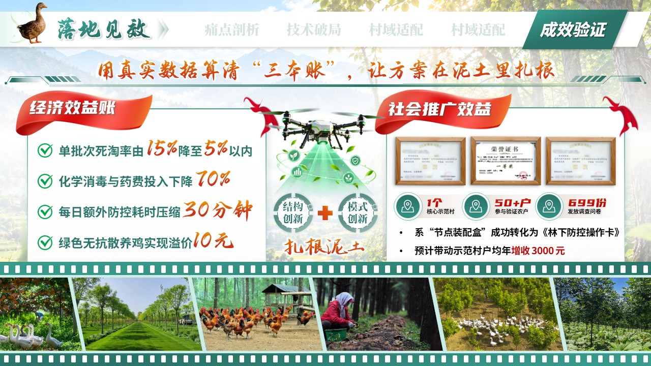 《赋能乡村振兴》第六届全国大学生乡村振兴大赛第11页预览图