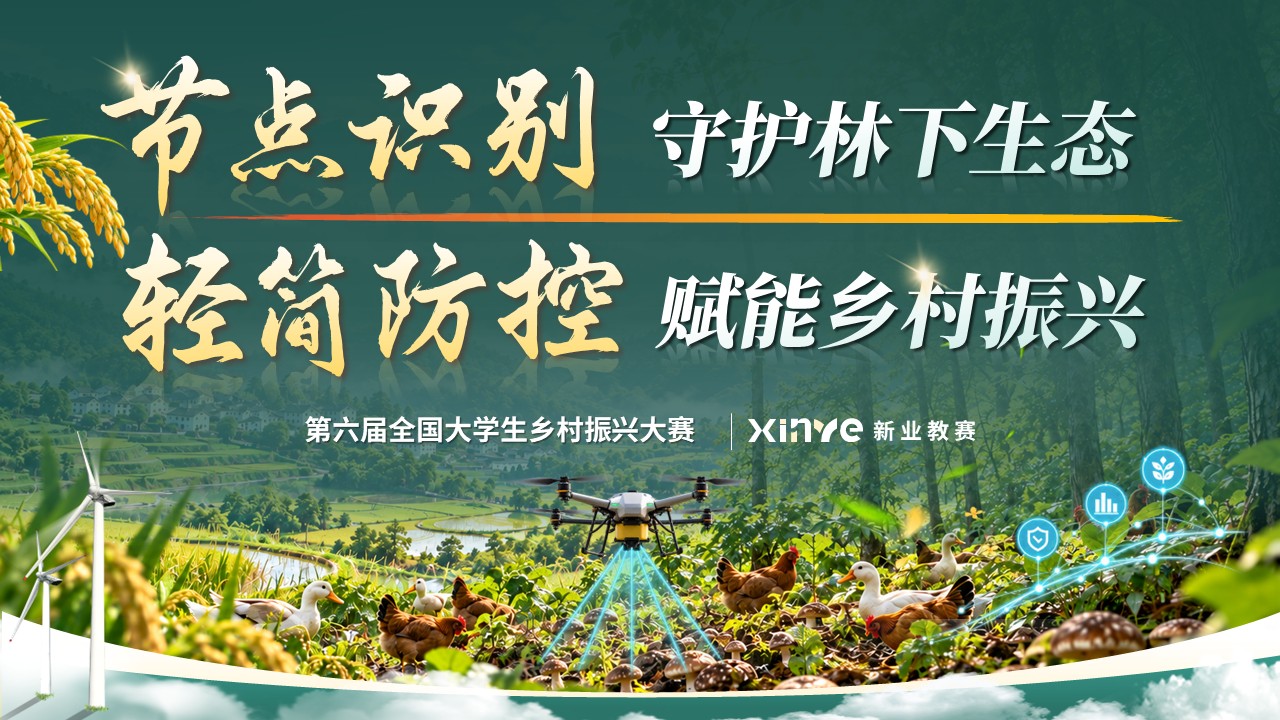 《赋能乡村振兴》第六届全国大学生乡村振兴大赛第12页预览图