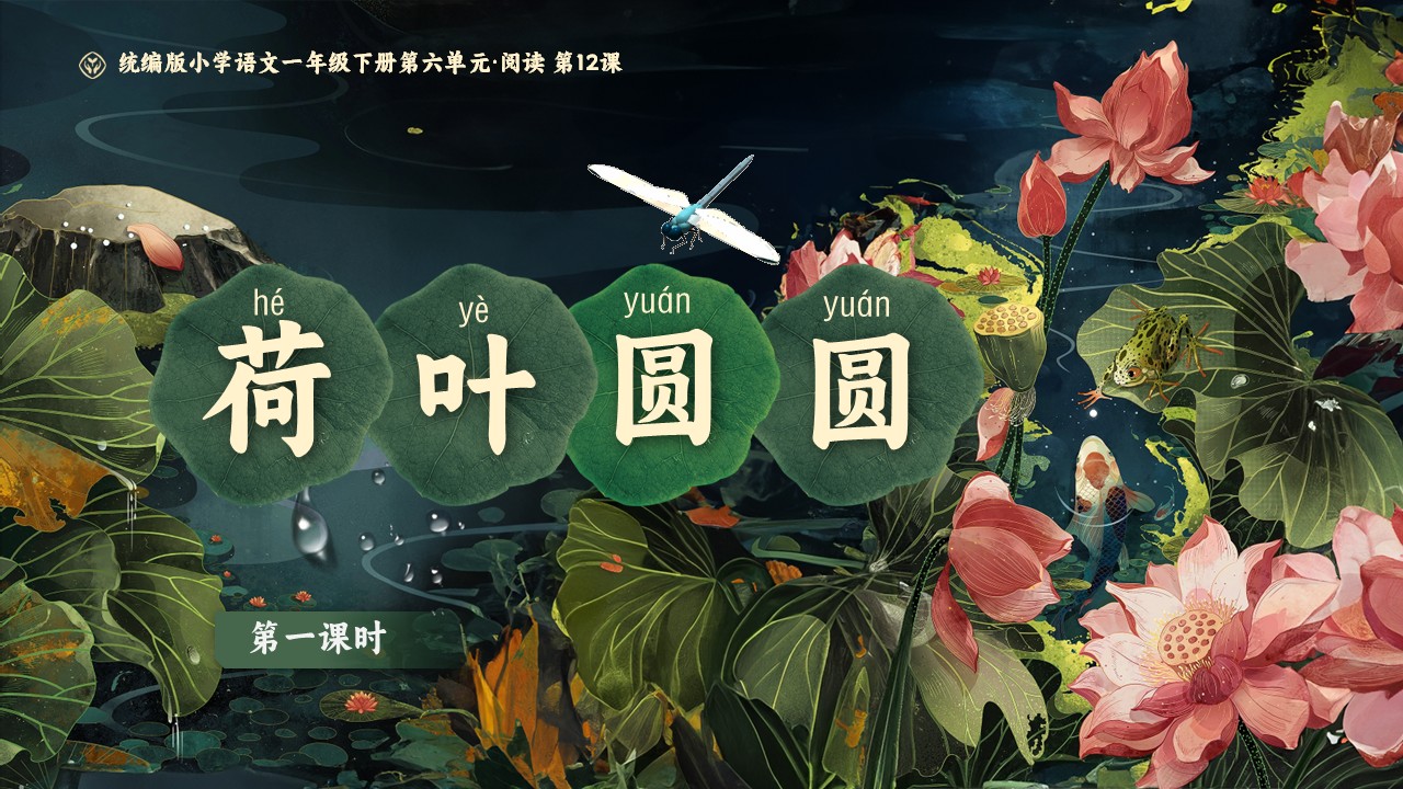 《荷叶圆圆》