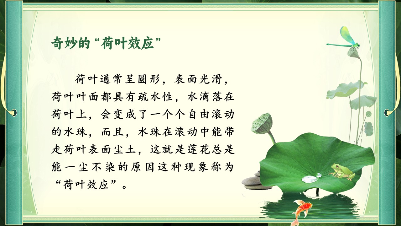 《荷叶圆圆》第4页预览图