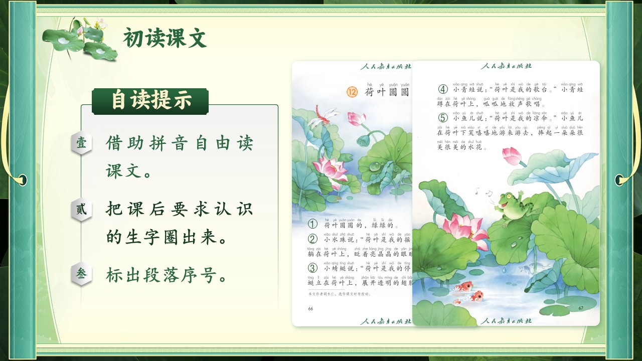 《荷叶圆圆》第7页预览图