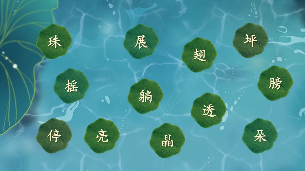 《荷叶圆圆》第11页预览图