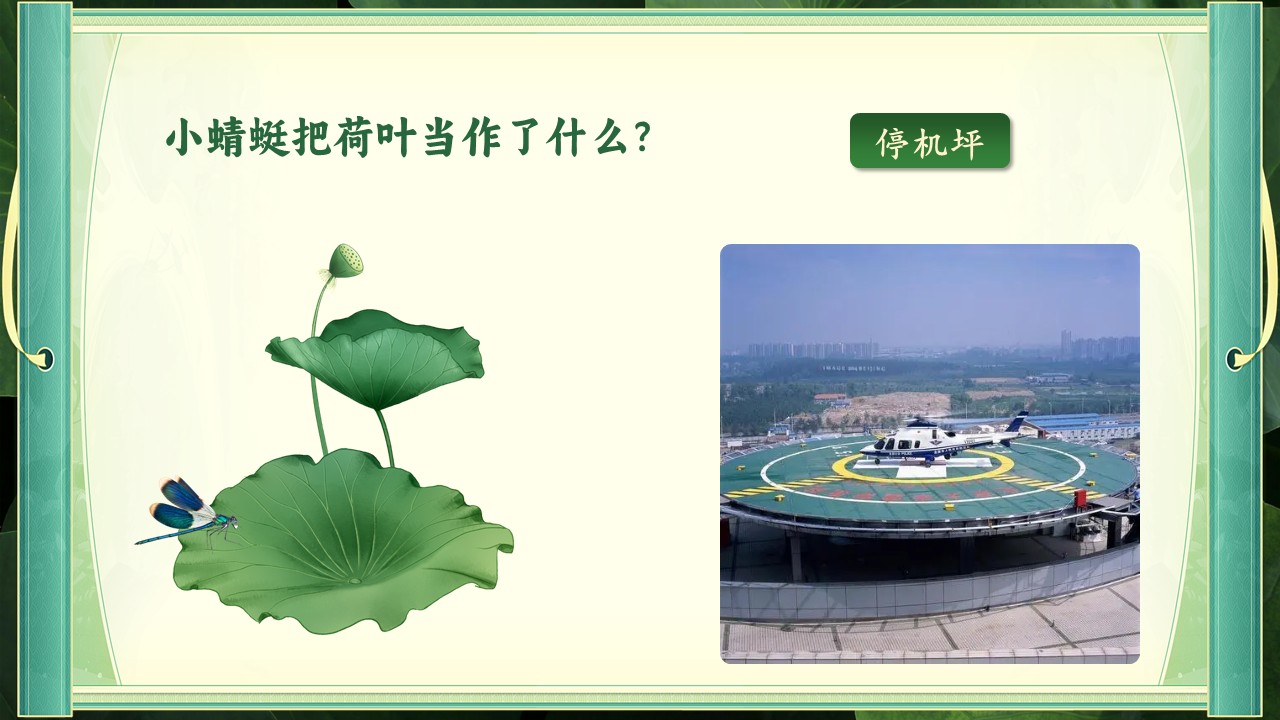《荷叶圆圆》第16页预览图