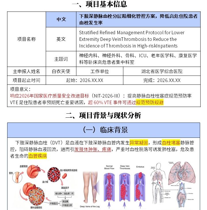 429期-护理质量改进申报书-下肢深静脉血栓分层精细化管控方案降低高危住院患者血栓发生率第2页预览