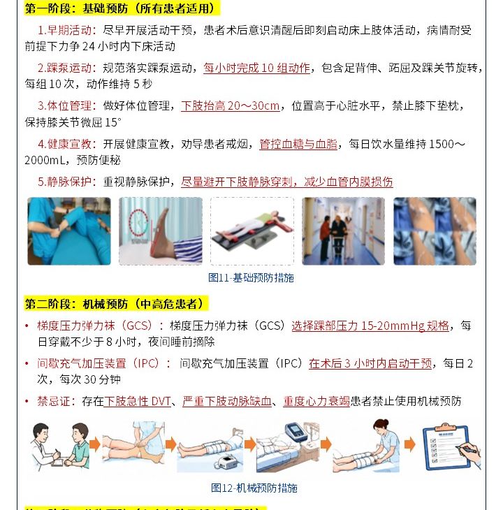 429期-护理质量改进申报书-下肢深静脉血栓分层精细化管控方案降低高危住院患者血栓发生率第6页预览