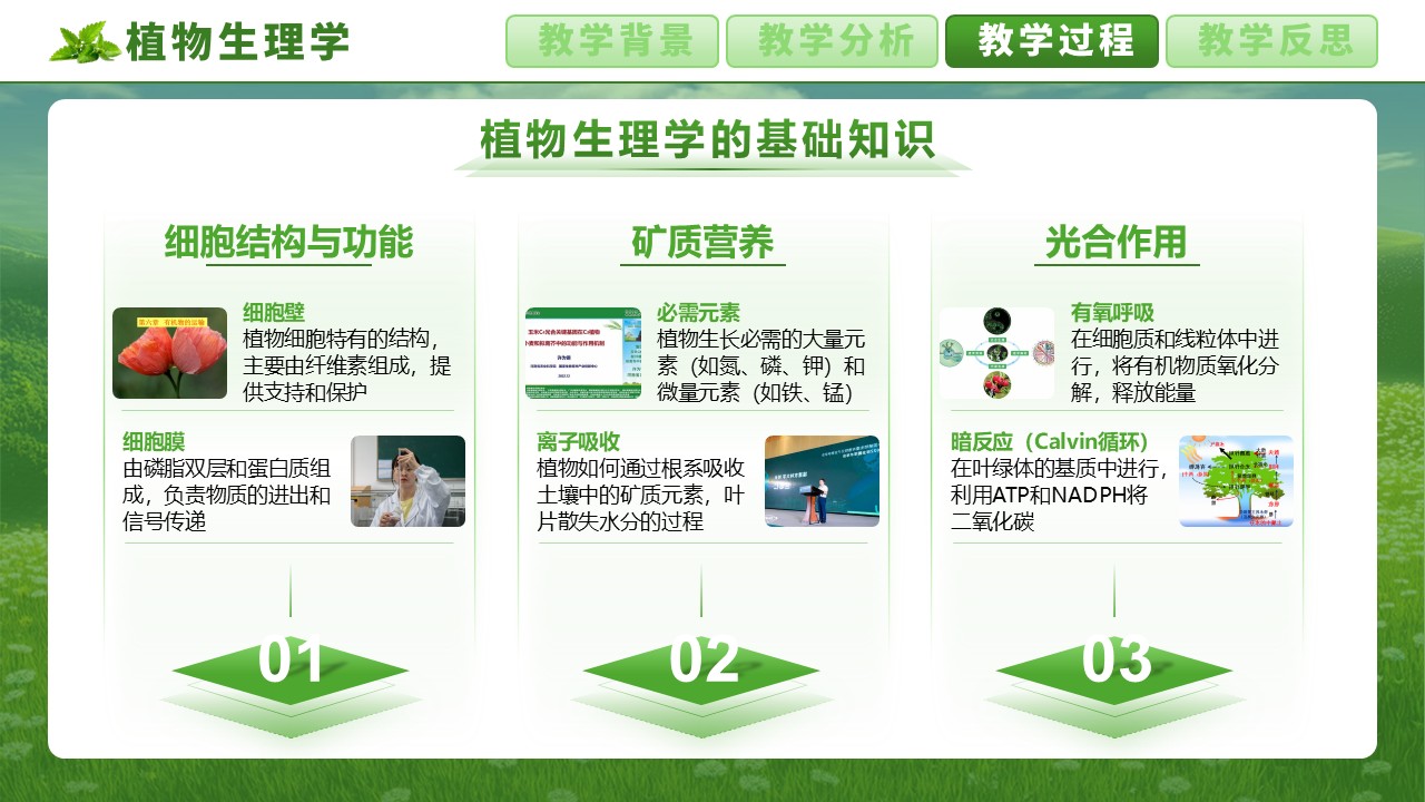 《植物生理学》第6页预览图