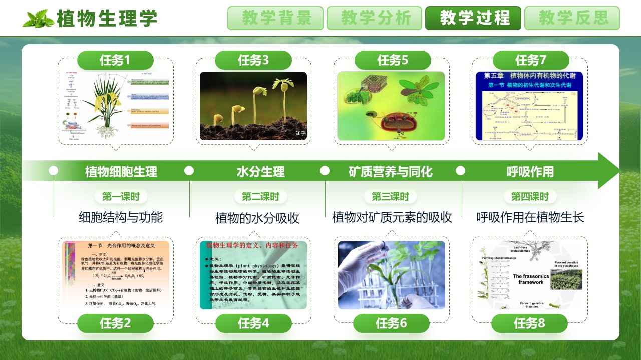 《植物生理学》第7页预览图