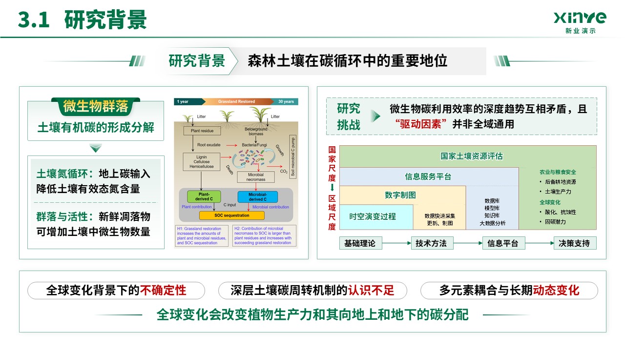 预聘教授(碳源输入-绿色）第10页预览图
