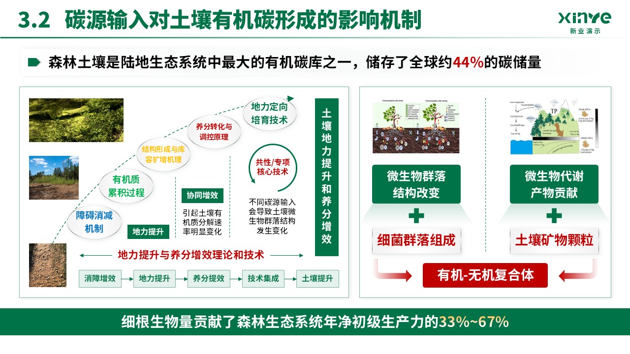 预聘教授(碳源输入-绿色）第11页预览图