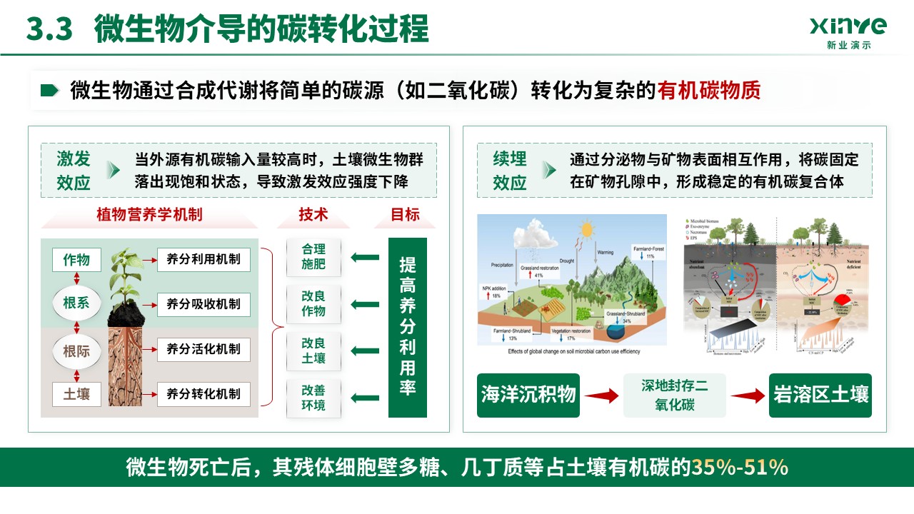 预聘教授(碳源输入-绿色）第12页预览图