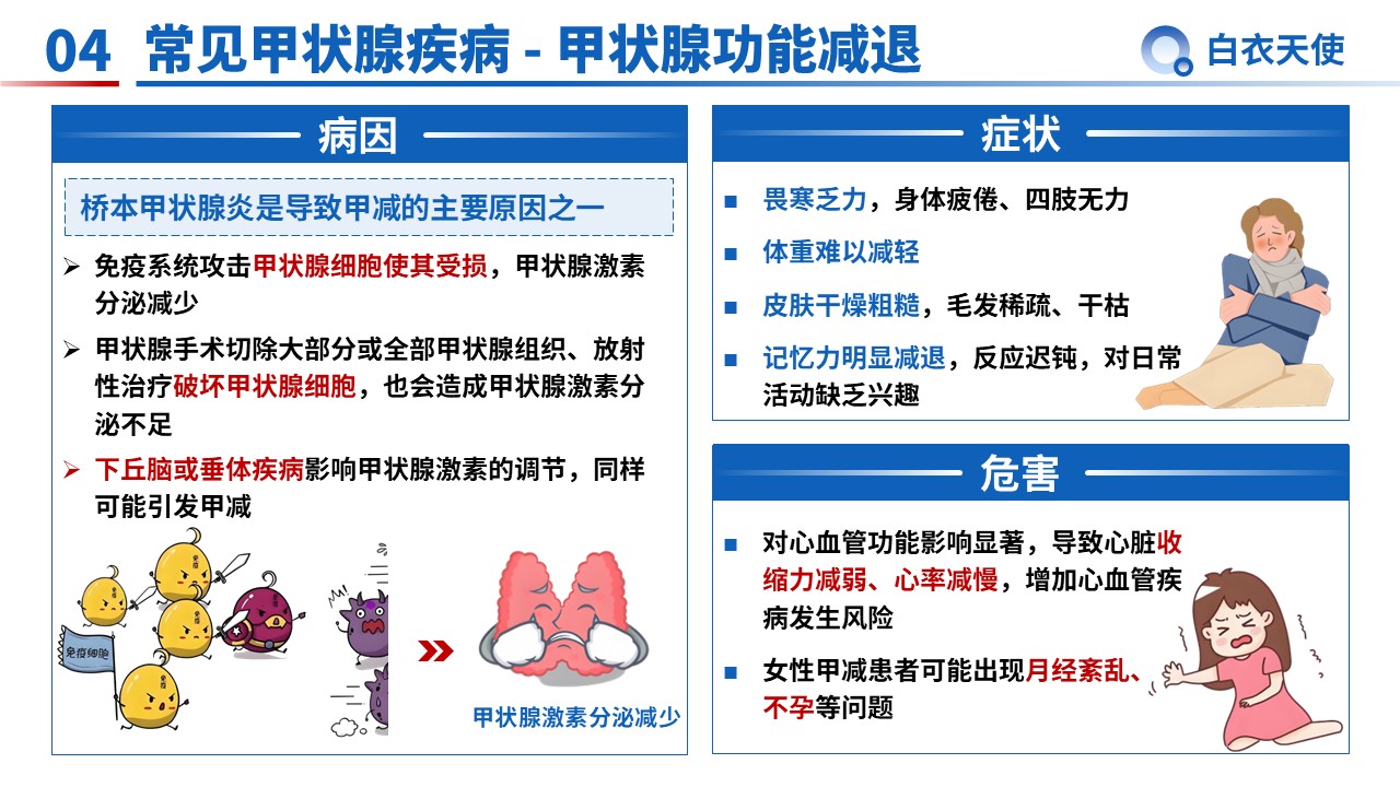 34-甲状腺健康宣教第6页预览