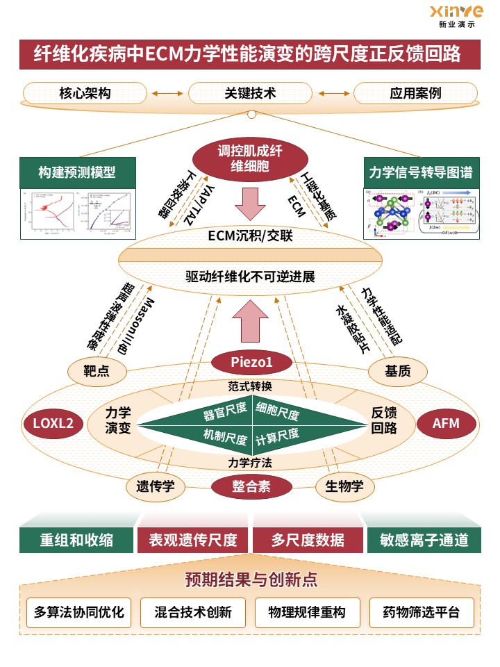 54-1技术路线图(力学生物学) - 黄绿红第2页预览图