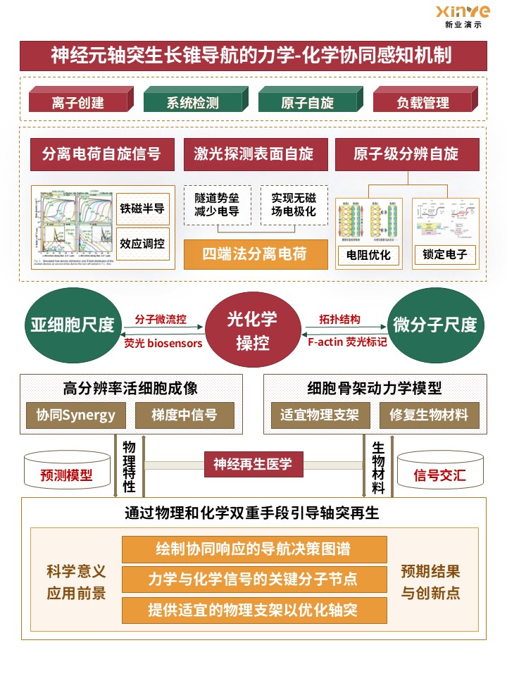 54-1技术路线图(力学生物学) - 黄绿红第4页预览图