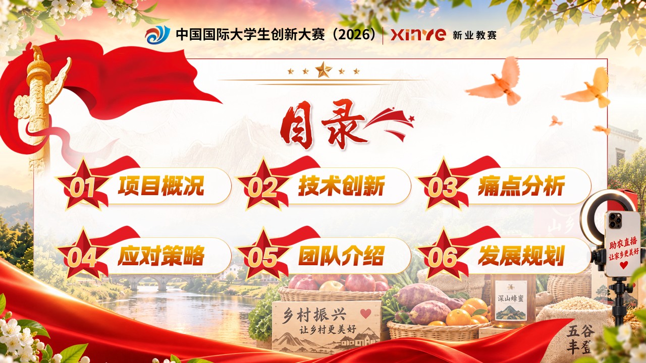 《红旅兴村助农直播》大创赛第2页预览图