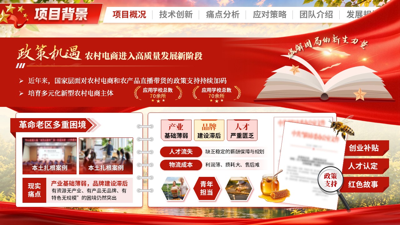 《红旅兴村助农直播》大创赛第3页预览图