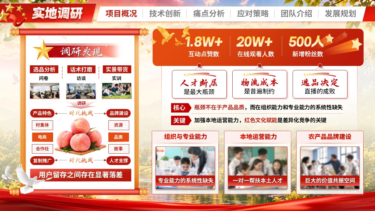 《红旅兴村助农直播》大创赛第4页预览图