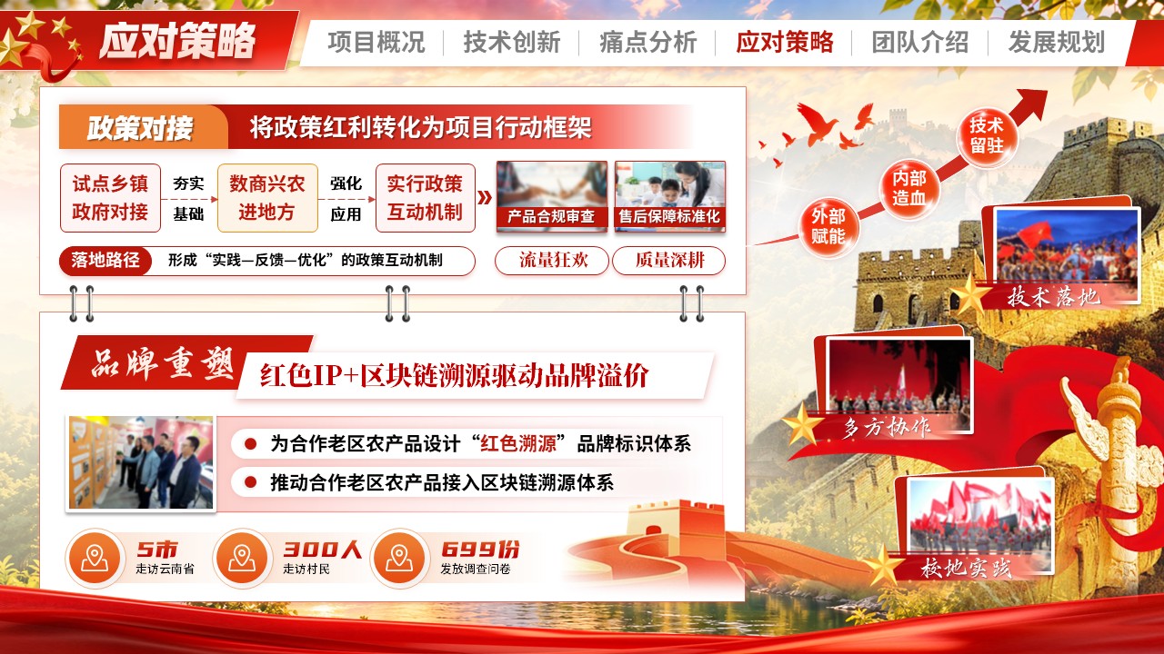 《红旅兴村助农直播》大创赛第8页预览图