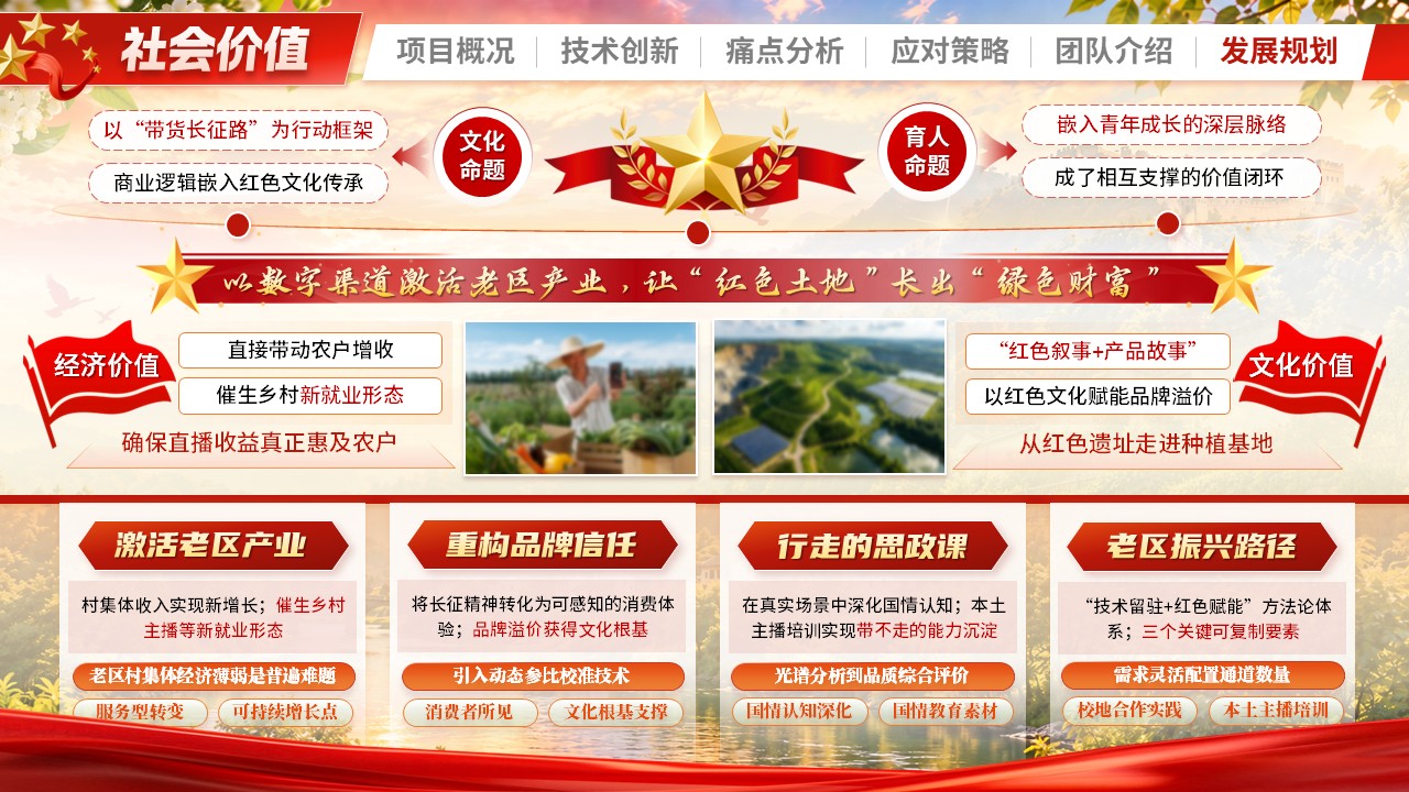 《红旅兴村助农直播》大创赛第11页预览图