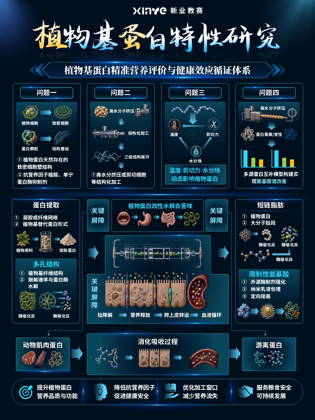sc-科研绘图（植物基蛋白）第3页预览图