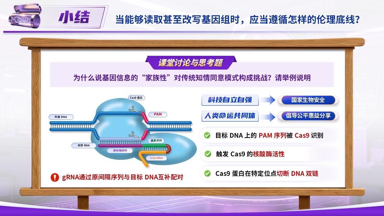 《生命源代码》青教赛第11页预览图