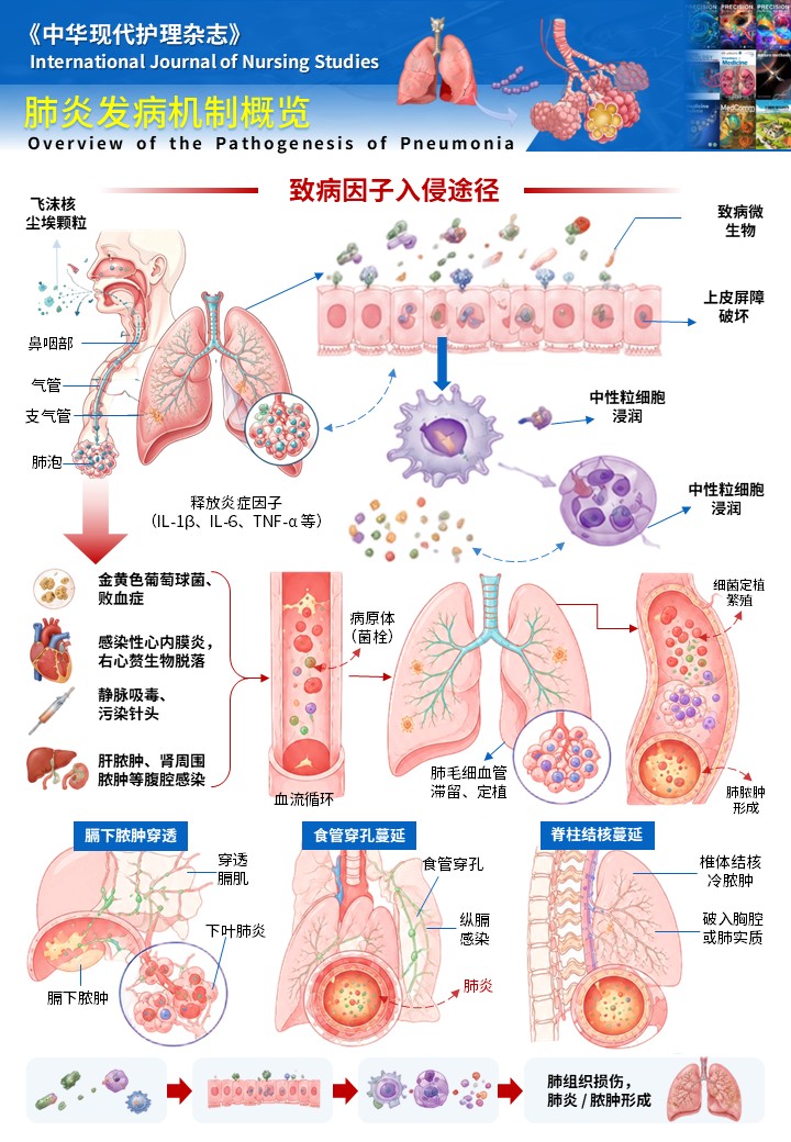 3期-科研绘图-肺炎发病机制图
