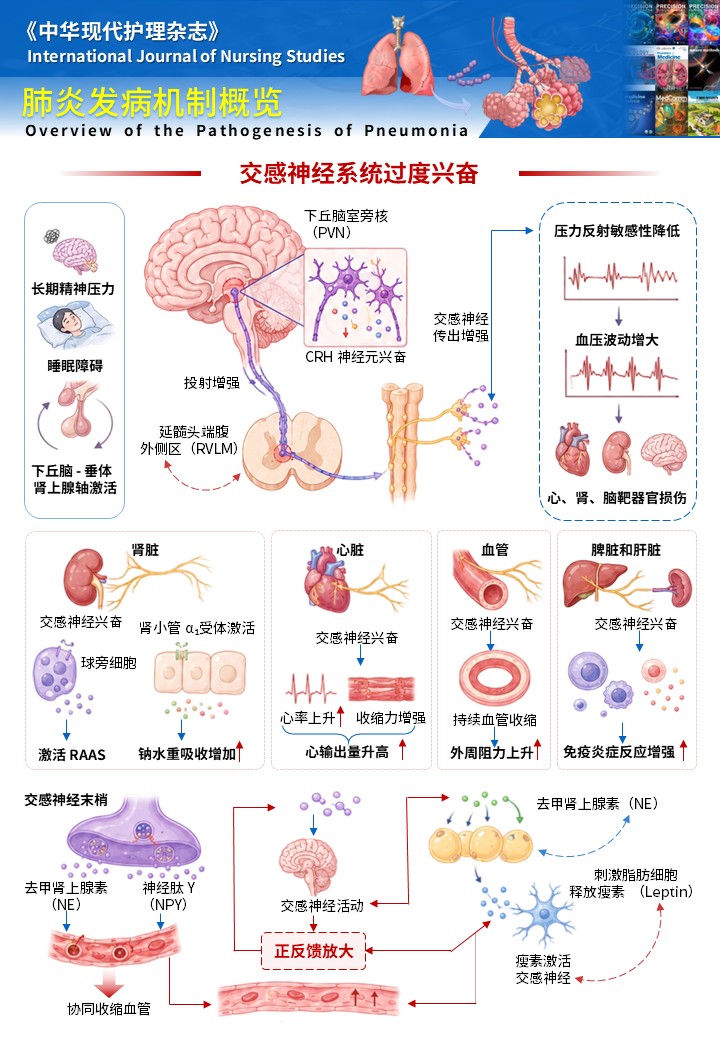 3期-科研绘图-肺炎发病机制图第2页预览