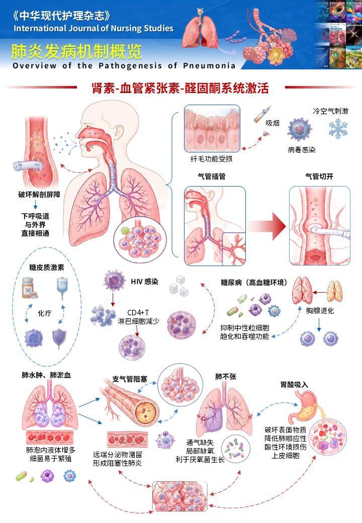 3期-科研绘图-肺炎发病机制图第3页预览