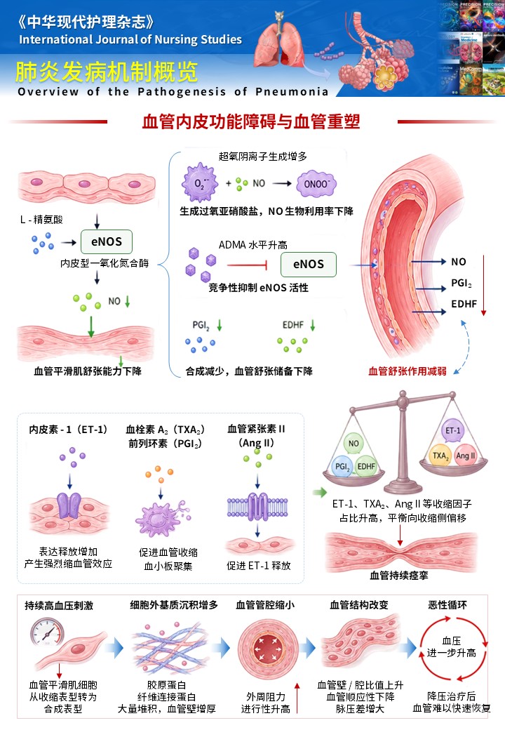 3期-科研绘图-肺炎发病机制图第5页预览