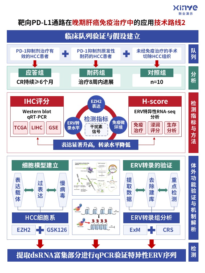 73-1科研架构图 (靶向PD-L1通路-蓝红绿)第2页预览图