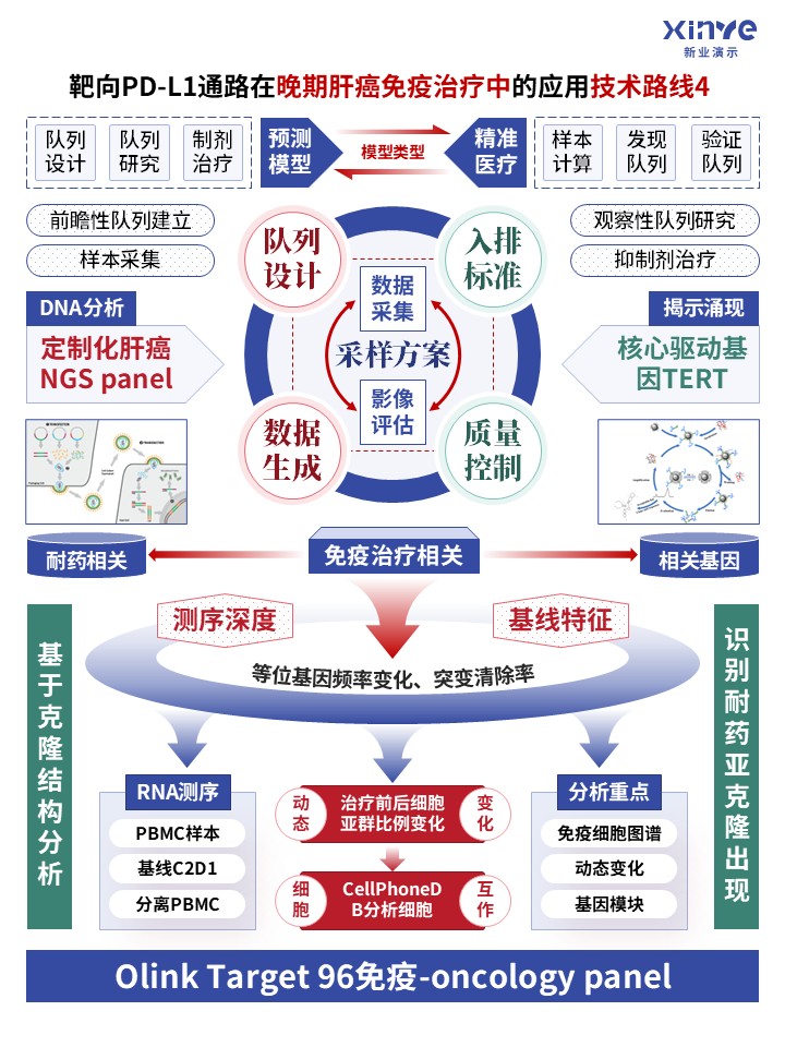 73-1科研架构图 (靶向PD-L1通路-蓝红绿)第4页预览图