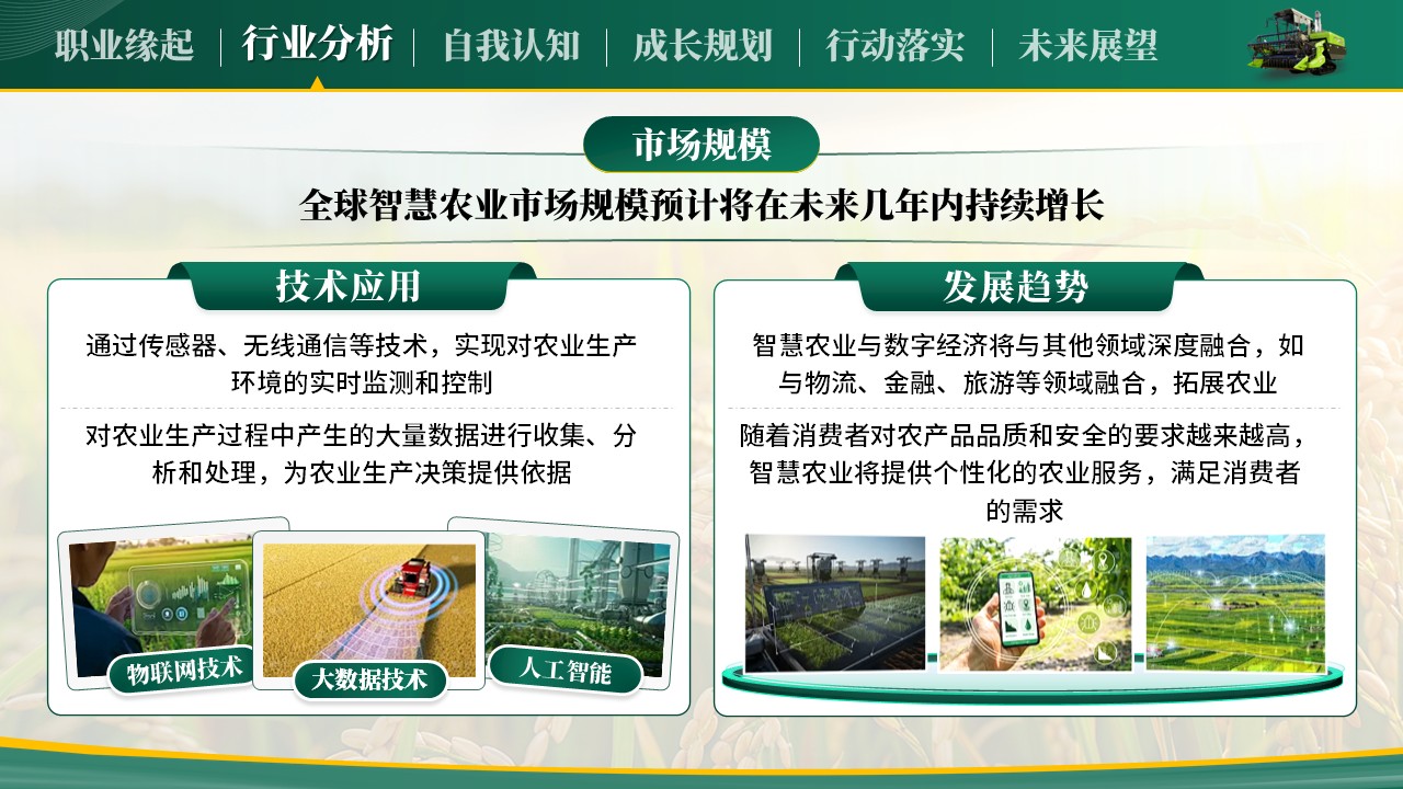 《把握农业机遇，规划职业未来》全国大学生职业规划大赛第4页预览图