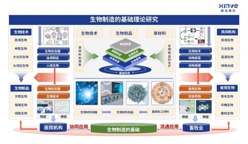 31-2科研架构图(生物制造的基础研究理论-蓝绿黄)