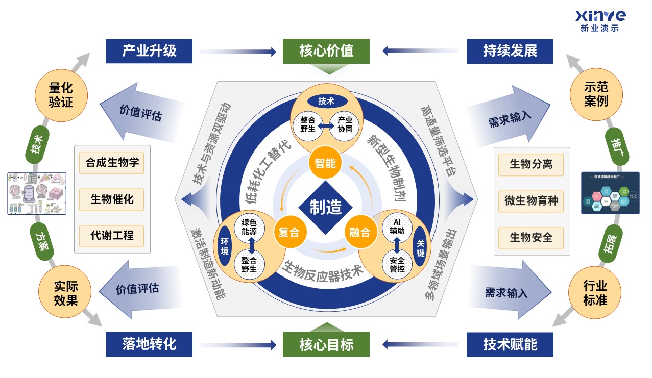 31-2科研架构图（生物制造的基础研究理论-蓝绿黄)第2页预览图