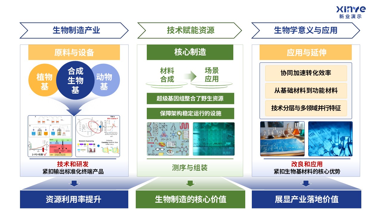 31-2科研架构图（生物制造的基础研究理论-蓝绿黄)第3页预览图