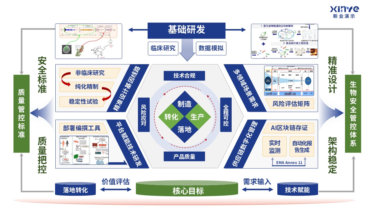 31-2科研架构图（生物制造的基础研究理论-蓝绿黄)第5页预览图