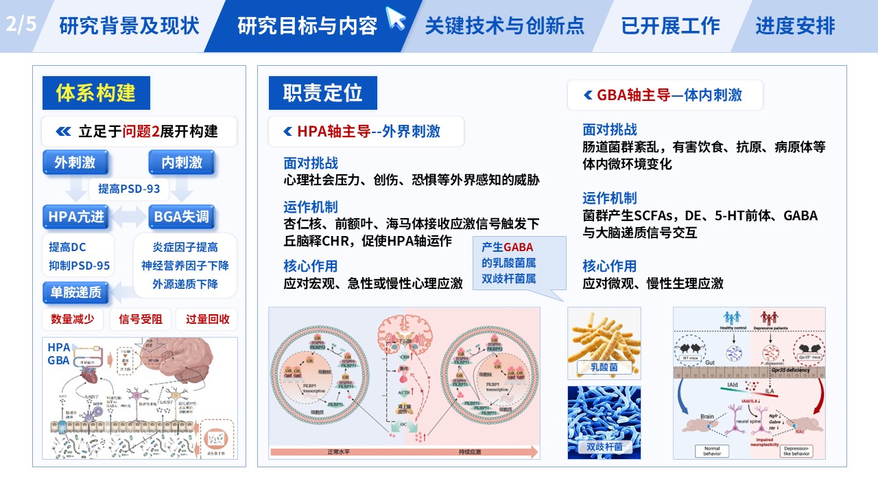 210期-医学研究生开题报告第10页预览