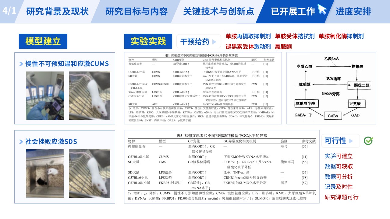 210期-医学研究生开题报告第16页预览