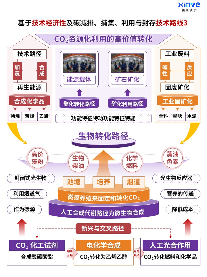 61-1科研架构图 (碳利用与封存-紫红橙)第3页预览图