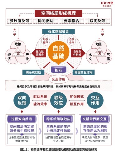 45-1科研架构图(宏观生态系统空间格局-红紫)
