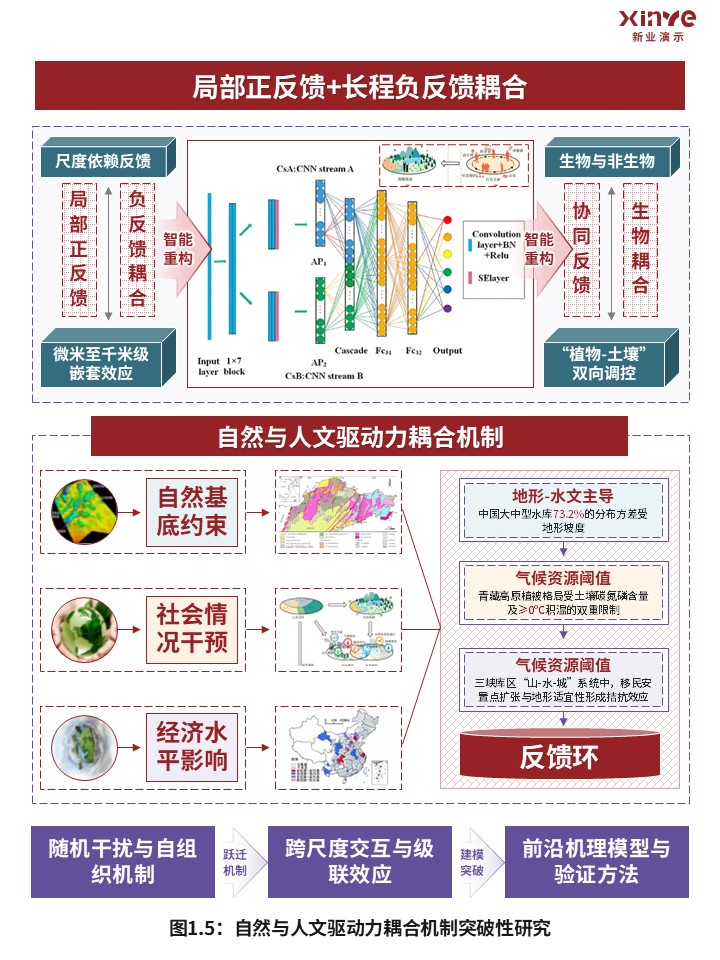 45-1科研架构图（宏观生态系统空间格局-红紫）第5页预览图