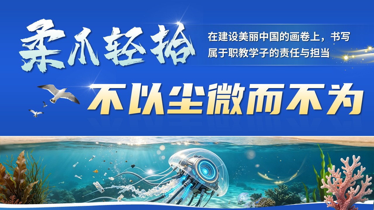 《柔爪轻拾海底尘》世界技能大赛第12页预览图