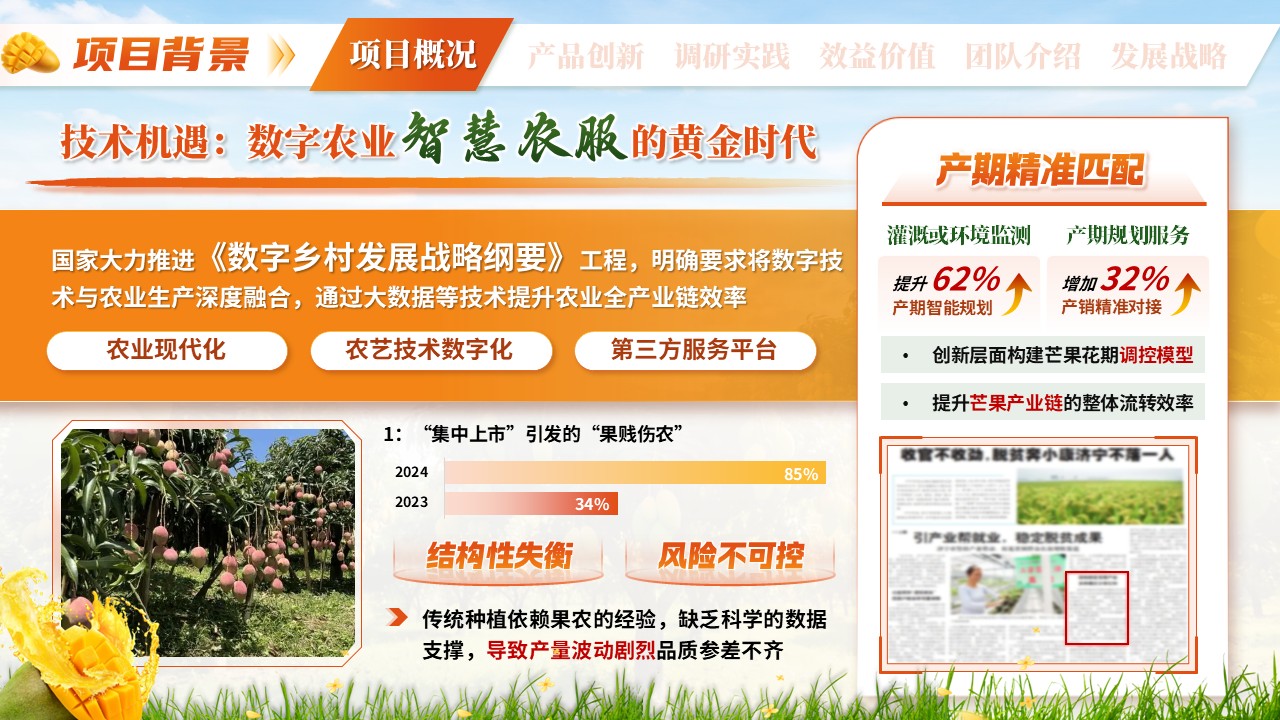 《芒香物候》三创赛第3页预览图