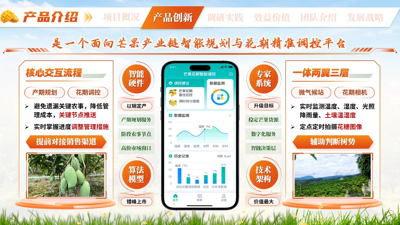 《芒香物候》三创赛第5页预览图