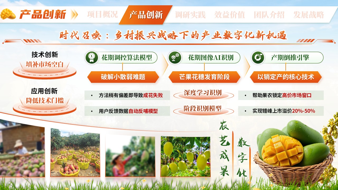 《芒香物候》三创赛第6页预览图