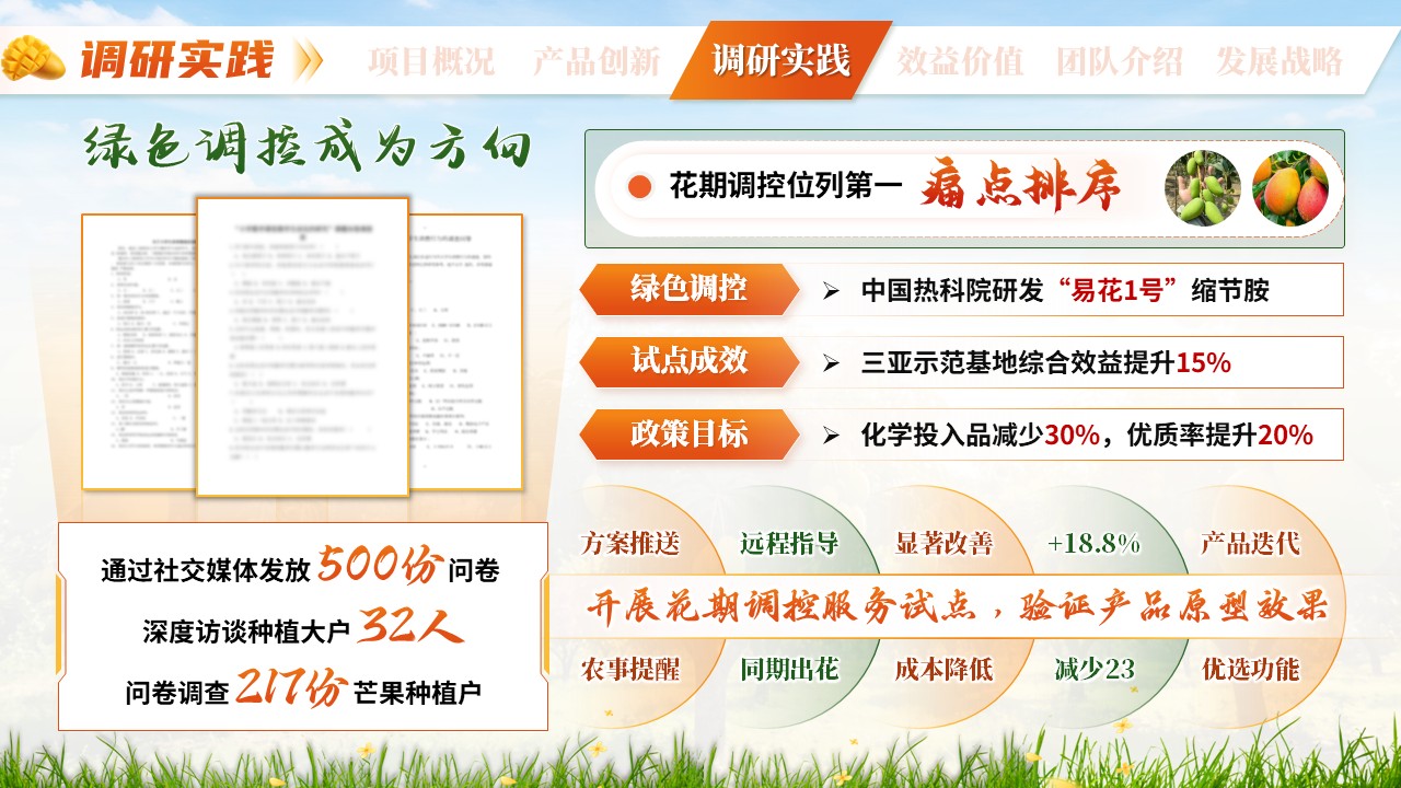 《芒香物候》三创赛第7页预览图