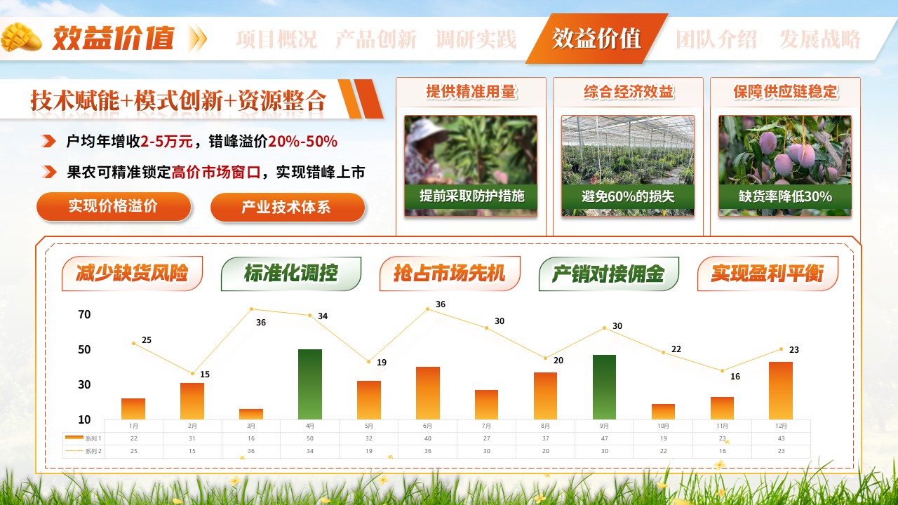 《芒香物候》三创赛第8页预览图