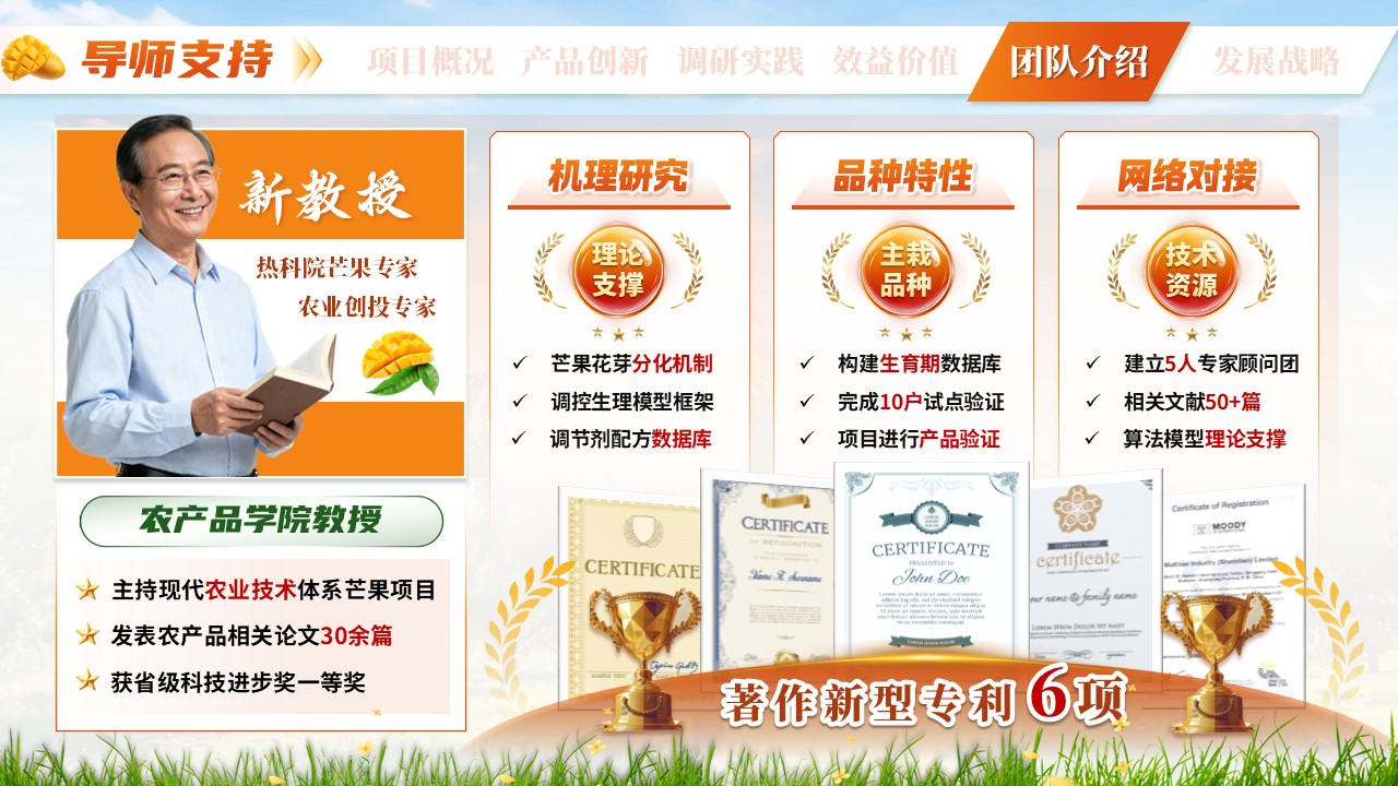 《芒香物候》三创赛第9页预览图